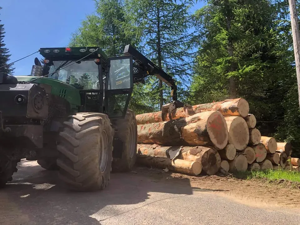 Bois de chauffage à Saint-Romain-Lachalm
