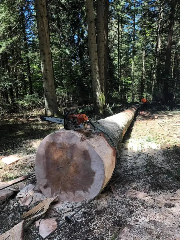 Vente de parcelle à Saint-Romain-Lachalm