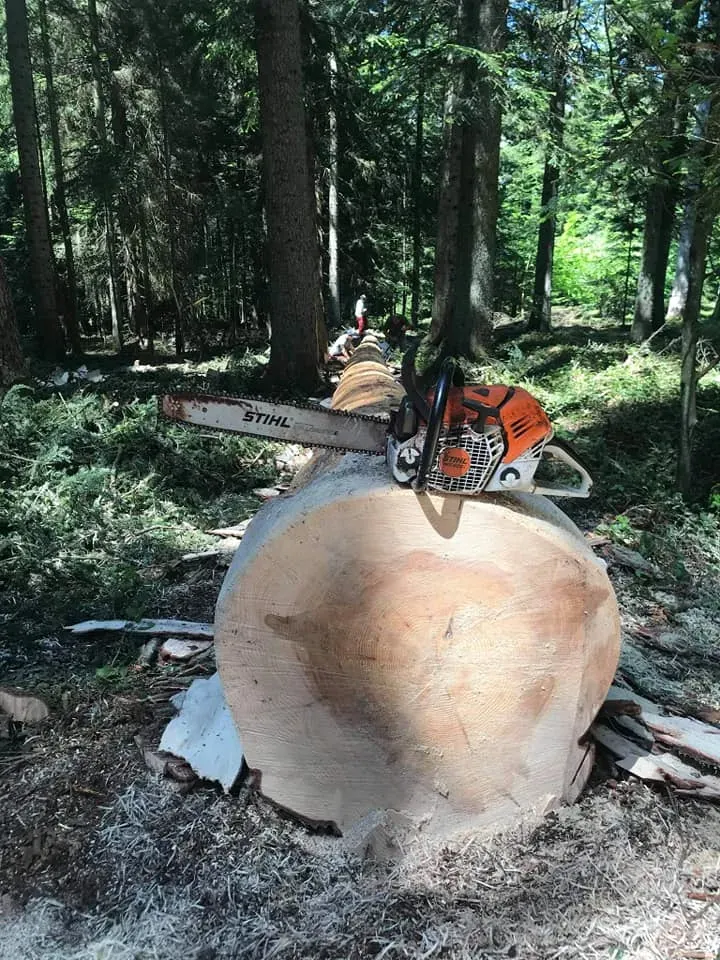 Exploitation forestière à Saint-Romain-Lachalm